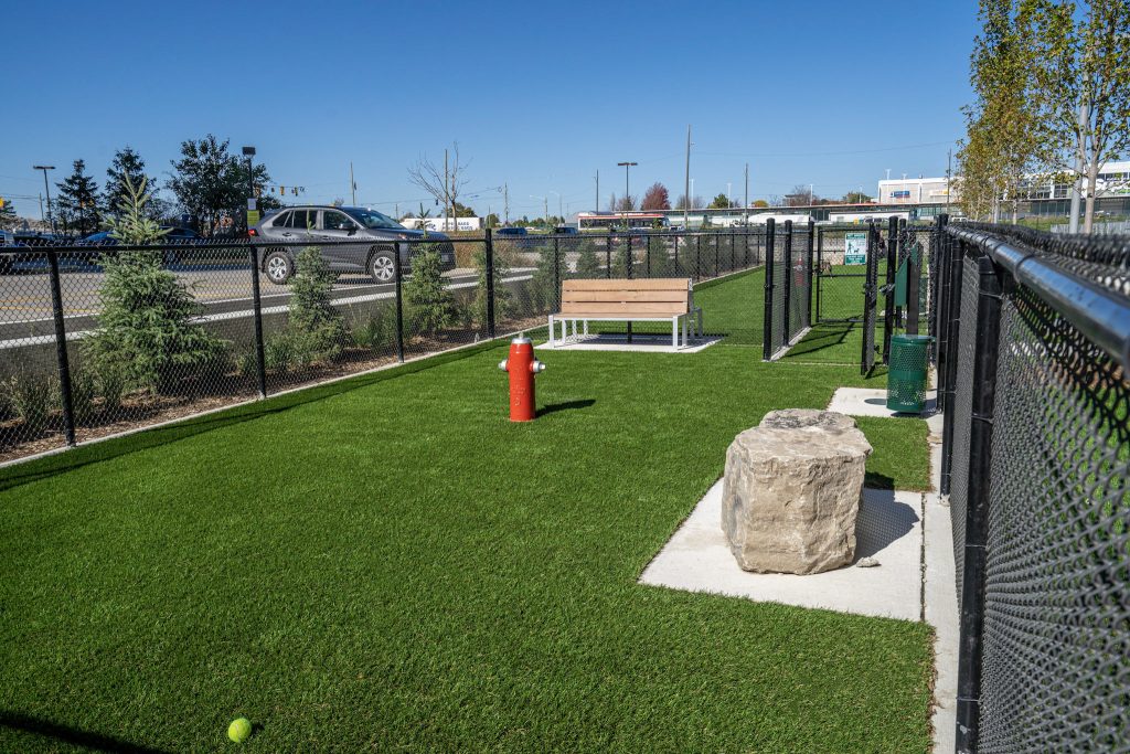 Public dog park in Toronto managed by Garden City Grounds