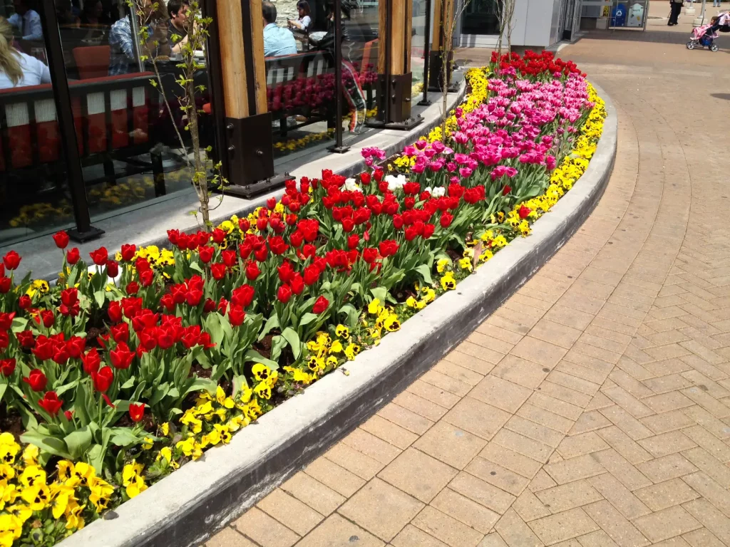 Commercial landscaping from garden city grounds